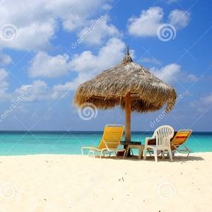 Meet your Posher, Missy